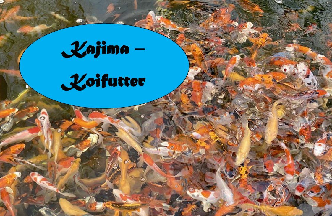 Kajima Koi- & Störfutter